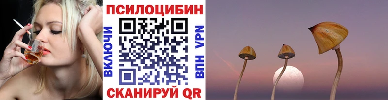 магазин  наркотиков  Мариинский Посад  Галлюциногенные грибы мицелий 