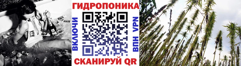 Канабис конопля  Мариинский Посад 
